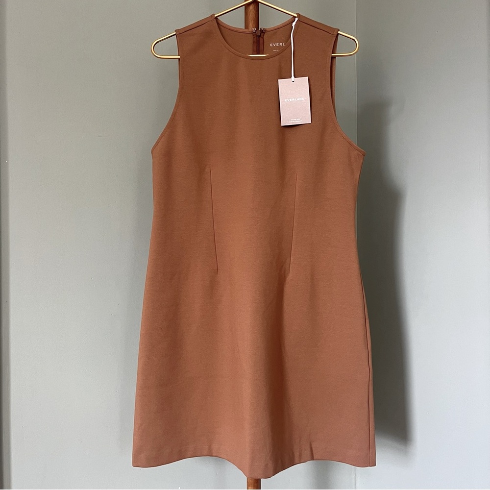 NWT Everlane Dream '90s Shift Dress NWT